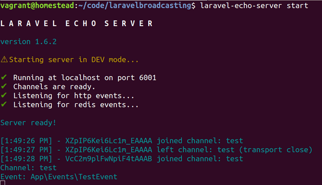 laravel-echo-server start